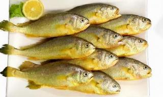 一斤黄金多少钱 一斤黄金多少钱