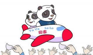 丫丫熊猫怎么回事