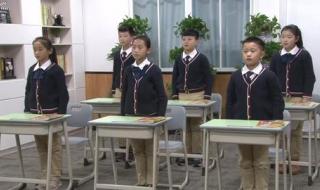 我是一只小虫子 我是一只小虫子