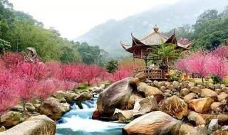 珠海竹仙洞 珠海竹仙洞