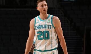 黄蜂和鹈鹕什么关系